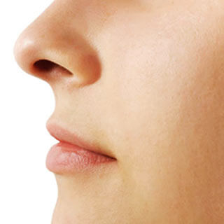 a human nose